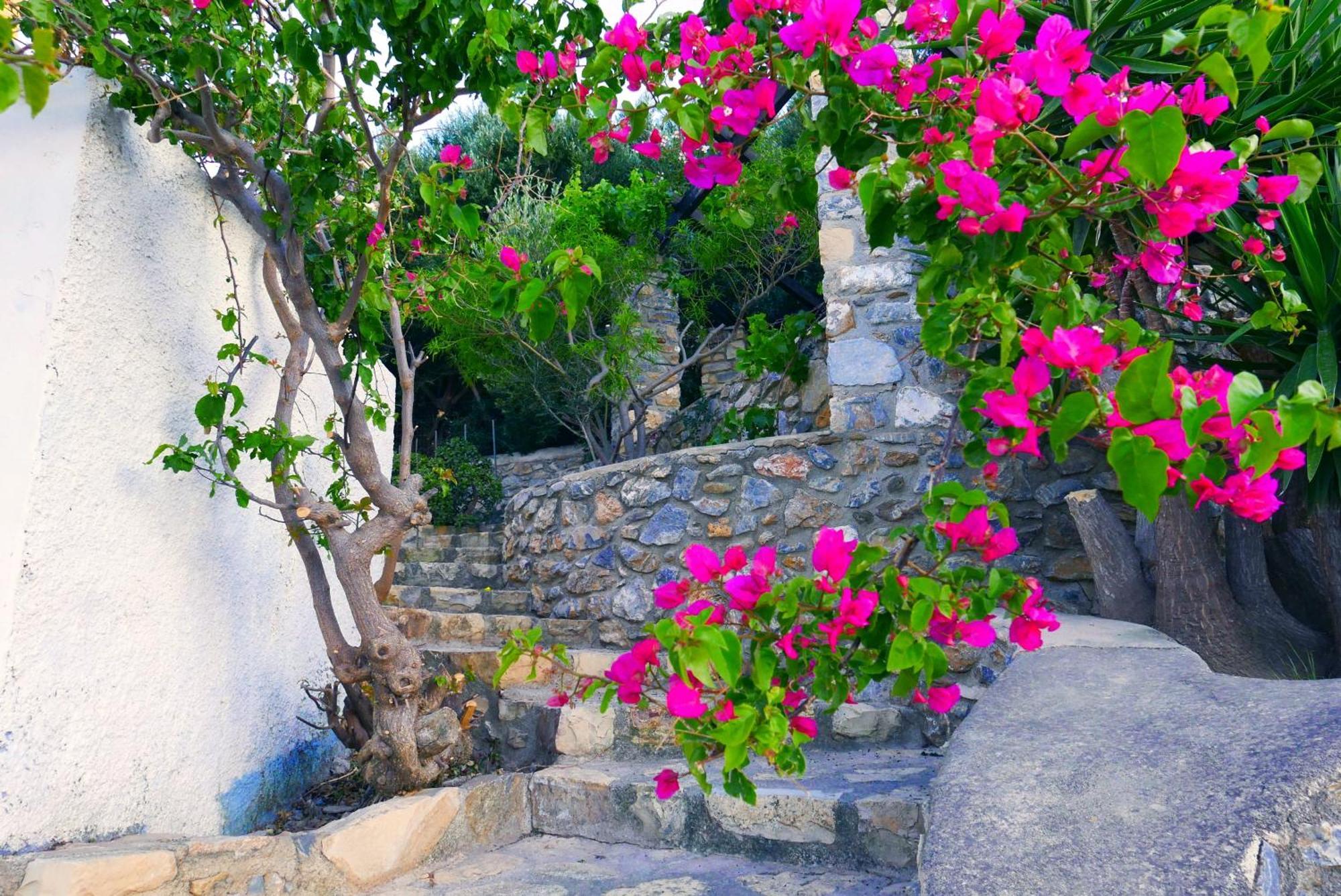 Elegeo Rockhouse Villa Agia Marina  Exterior photo